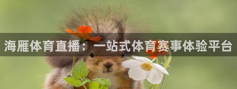 蓝鲸直播英超