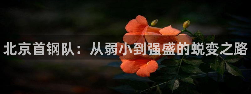 蓝鲸直播官网