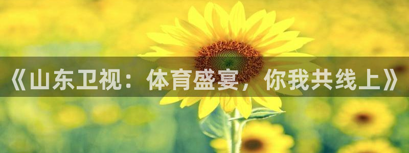 蓝鲸直播篮球