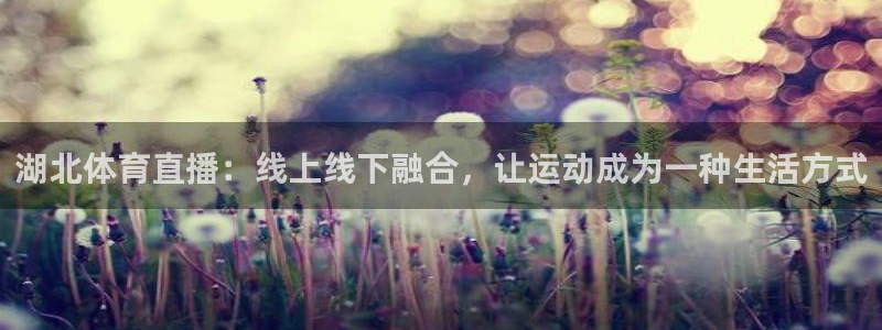 蓝鲸直播官网下载