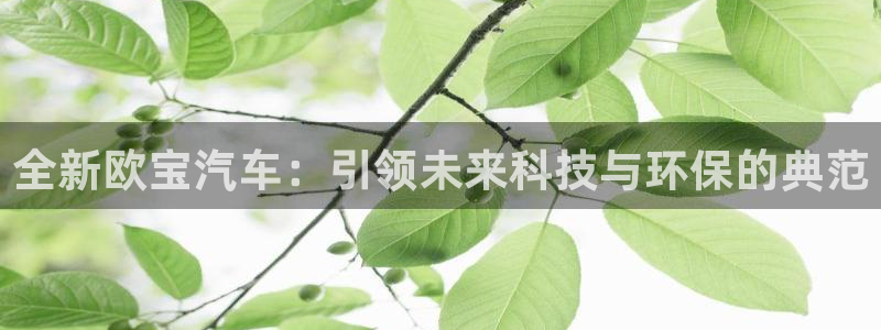 蓝鲸直播体育免费直播