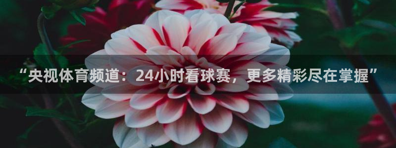 蓝鲸直播体育appv3.新地址.org