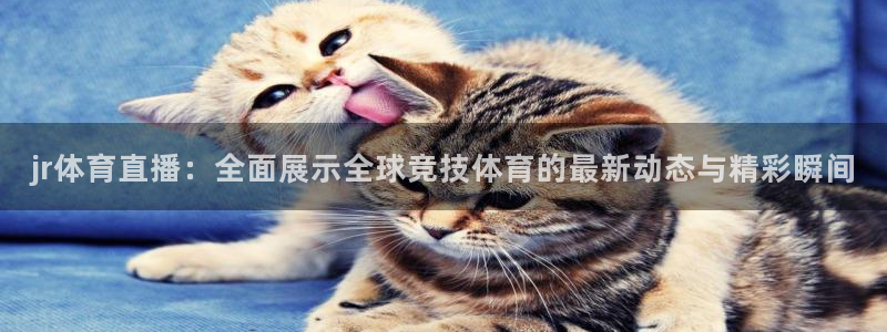 蓝鲸直播下载app下载